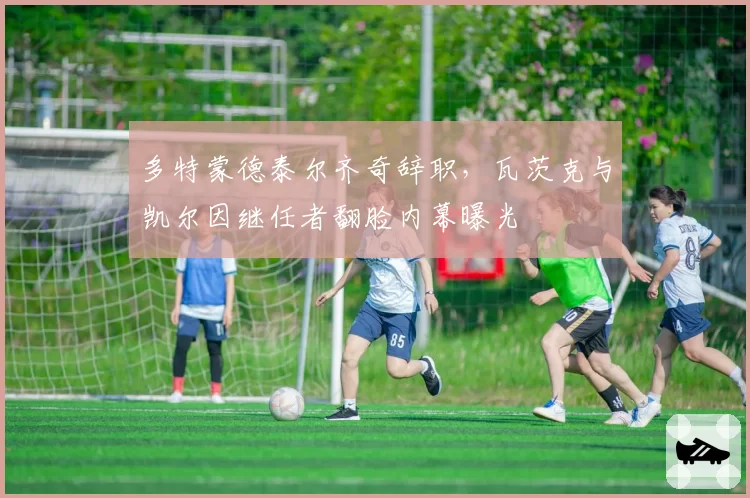 多特蒙德泰尔齐奇辞职，瓦茨克与凯尔因继任者翻脸内幕曝光