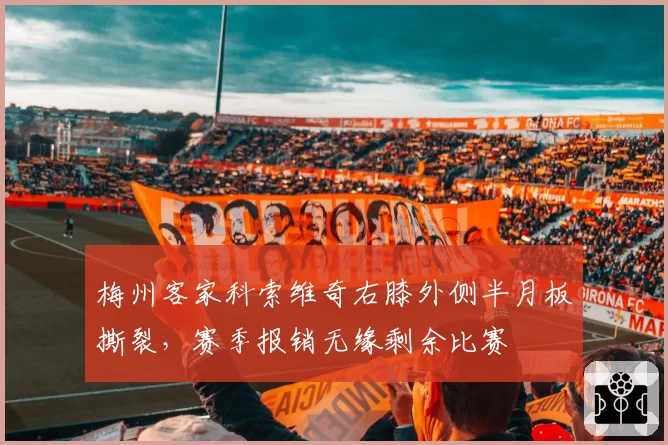 梅州客家科索维奇右膝外侧半月板撕裂，赛季报销无缘剩余比赛