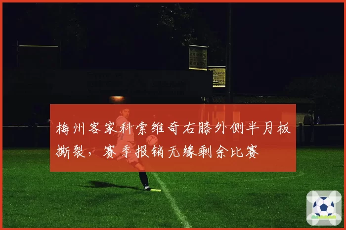 梅州客家科索维奇右膝外侧半月板撕裂,赛季报销无缘剩余比赛