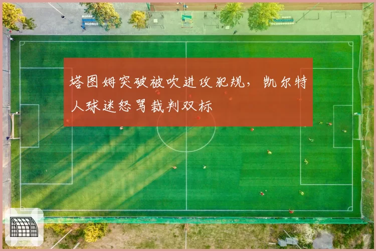 塔图姆突破被吹进攻犯规,凯尔特人球迷怒骂裁判双标