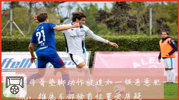 字母哥垫脚动作被追加一级恶意犯规,雄鹿东部榜首位置受质疑