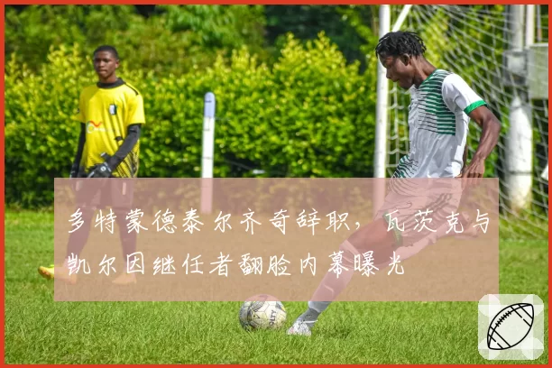 多特蒙德泰尔齐奇辞职，瓦茨克与凯尔因继任者翻脸内幕曝光